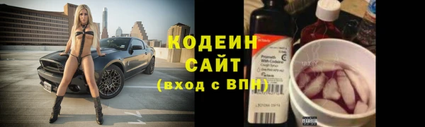 прущие грибы Дмитровск