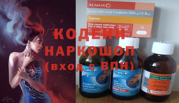 прущие грибы Дмитровск