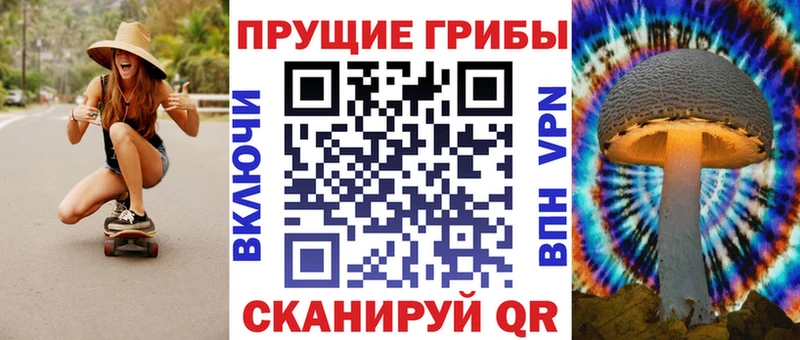 Галлюциногенные грибы прущие грибы  Купить закладки  Протвино 